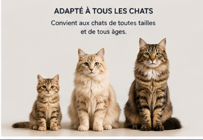 Litiére Automatique Intelligente Chat